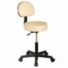 AFBRSTL/BLK | Backrest Stool - Black -Pool Care Sales Shop AFBRSTL BLK AFBRSTL BLK 244802 AFBRSTLB 9