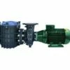 BPG753 | 7.5hp (5.6kw) - 3Ø Commercial Giant Pump - 400/690v -Pool Care Sales Shop BPG753 BPG753 260076 BPG403 19