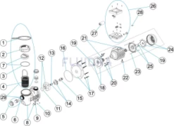 HGS101SM | 1hp (0.74kW) Pump, 1 Phase, 220 Volt, 1.5" Suction & Delivery