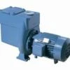 MC303 | 3hp (2.2kW) Calpeda 2.5" Suction & Delivery -Pool Care Sales Shop MC303 MC303 234438 calpeda 44 uid205521 35