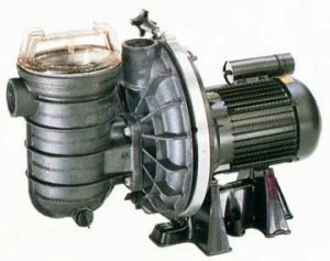 SR200N | 2HP (1.5kW) Sta-Rite, 1 Phase - 2" Suction & Delivery 3 SR200N | 2HP (1.5kW) Sta-Rite, 1 Phase - 2" Suction & Delivery